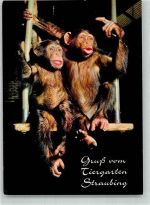 W8440 Straubing Judy und Cain im Zoo Affe 1979