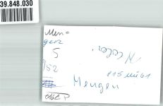 88512 W7947 Mengen , Württ FOTO KEINE AK Schwimmbad Ort handschriftlich