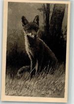 Fuchs