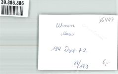 56766 W5447 Ulmen FOTO KEINE AK Ort handschriftlich Foto Original aus Archiv eines Ansichtskartenverlags