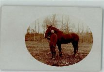 WK I Soldat mit Pferd Soldat Foto AK