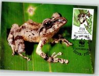 Fidschi Baumfrosch Sondermarke Frosch Foto AK