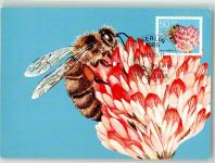 Rotkleeblüte Sondermarke Sonderstempel Biene