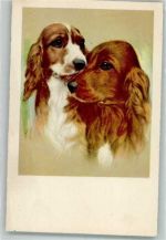 Verlag Haering Nr. 6563 Spaniel Künstlerkarte