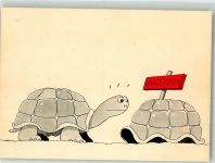 Humor Umgezogen Schildkröte