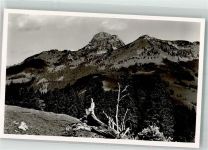 83727 W8163 Sudelfeld