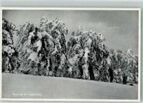 63679 W6479 Hoherodskopf , Hess - Winter Vorgelsberg