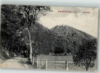 06493 O4303 Ballenstedt 1911 Foto AK Selketal Meiseberg