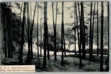 10115 W1000 Grunewald 1920 - Hundekehlensee Weg zum Bahnhof
