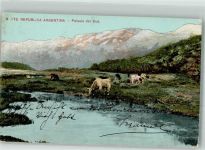 Paisaje del Sud Motiv Argentinien Foto AK