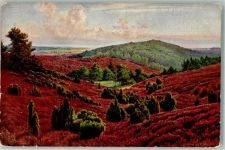 29646 W3045 Wilsede , Kr Soltau - Naturschutzpark Lüneburger Heide
