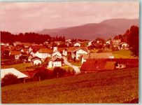 94264 W8371 Langdorf b Regen FOTO KEINE AK Ort handschriftlich Foto Original aus Archiv eines Ansichtskartenverlags