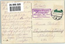 94227 W8372 Rabenstein , Kr Regen 1923 - Erholungsheim Pension Waldesruhe