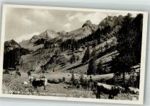 87561 W8980 Einödsbach Foto AK Rappenalpental