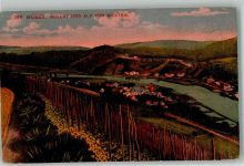 56859 W5584 Bullay Foto AK Mosel