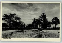 Palmenlandschaft Wie lange noch ohne Kolonien ? Kolonien
