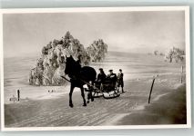 W7801 Oberried , Breisgau Einspänniger Schlitten im Winter Hotel Halde Pferdeschlitten Foto AK