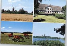 24966 W2393 Sörup - Windmühle Pferd AKU1