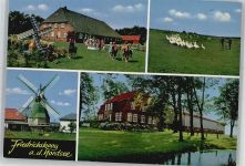 25718 W2228 Friedrichskoog , Dithm - Windmühle Gans Pferd AKU1