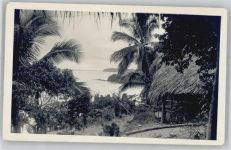 Panama - Palmen, Hütte