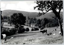 02779 O8802 Großschönau , Sachs - Gasthaus zur Neu-Sorge