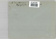 16928 O1921 Guhlsdorf - Landpoststempel