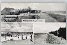 24217 W2306 Kalifornien , Holstein
