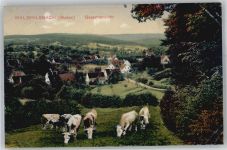 69151 W6903 Waldhilsbach 1912 - Blick auf Waldhilsbach