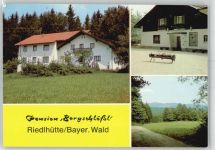 94566 W8356 Riedlhütte - Pension Bergschlößl