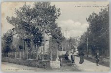 44500 La Baule-Escoublac - L Allee des Roses
