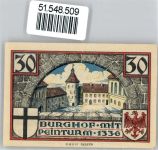 Insterburg Tschernjachowsk Notgeldschein 30 Pfennig