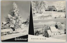 94556 W8351 Waldhäuser Winter AKU1