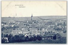 04741 O7304 Roßwein 1910 - Blick auf Rosswein