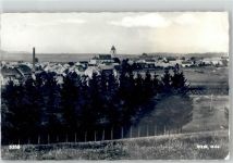 3902 Vitis