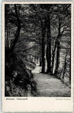 29664 W3030 Walsrode - Eckernworth Waldweg