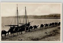 Amman - Tote Meer Boot Kamele