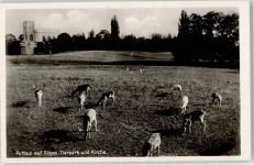 18581 O2353 Putbus - Tierpark Kirche