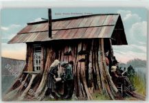 Cedar Stump Residence