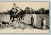 Kamel Palme Motiv Algerien