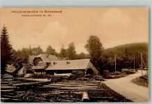 Holzschneidemühle im Schwarzwald AK Forstwirtschaft 1909
