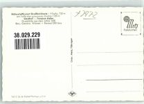 88316 W7972 Großholzleute Winter Gasthaus Pension Adler