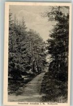 18225 O2565 Arendsee Kühlungsborn, Ostseebad Foto AK Waldpartie
