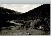29614 W3040 Willingen Foto AK Hermeketal Kuh