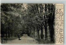 31655 W3060 Stadthagen 1903 Gebrauchsspuren Allee am Schlossgarten