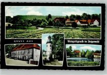 96193 W8602 Weingartsgreuth Foto AK Gasthaus Weichlein Aussichtsturm
