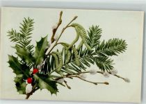 Ilex Weidenkätzchen Haselnuss Martin Rommel u. Co. 502 Rommel