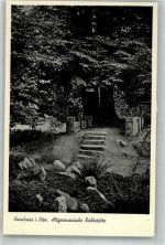 W6120 Hainhaus , Odenw Altgermanische Richtstätte Germane Foto AK