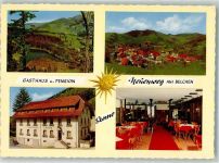 79691 W7861 Neuenweg Foto AK Gasthaus Pension Sonne
