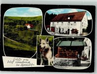 63863 W8751 Eschau , Unterfr Foto AK Gasthaus Pension Hof Hundsrück im Spessart Brunnen Schäferhund Fotograf Dittmann