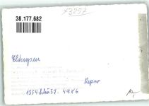 W3213 Eldagsen , Deister Repro Wisentgehege Springe Ort handschriftlich Büffel FOTO KEINE AK